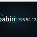 Unlocking the Mystery of 198.54 124.245 Rebahin