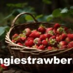 The Sweet Revolution: Why Omgiestrawberry is the Next Big Thing in Fruit Culture