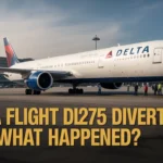 Delta Flight DL275 Diverted to LAX: What Happened and Why